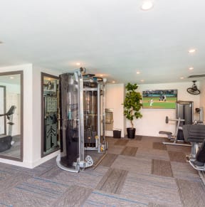 a gym with a treadmill and other exercise equipment in a home with a tennis court