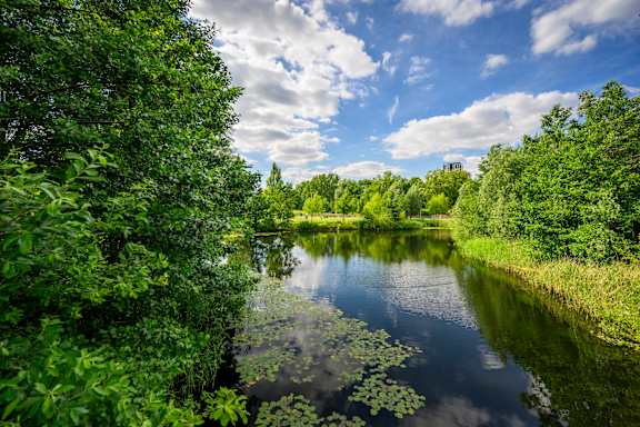 A serene river surrounded by lush greenery under a clear sky.