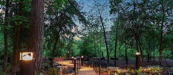 Lush tree views with a walking pathway - banner - Willow Apartment