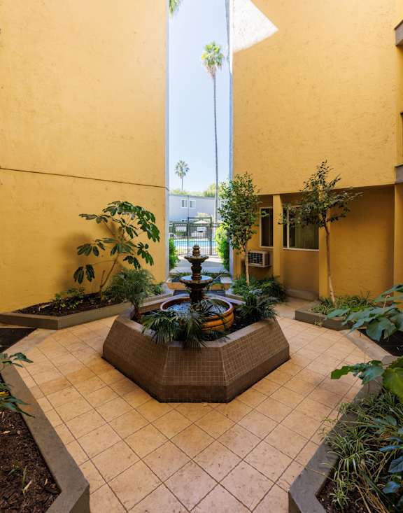 A courtyard with a fountain and plants.