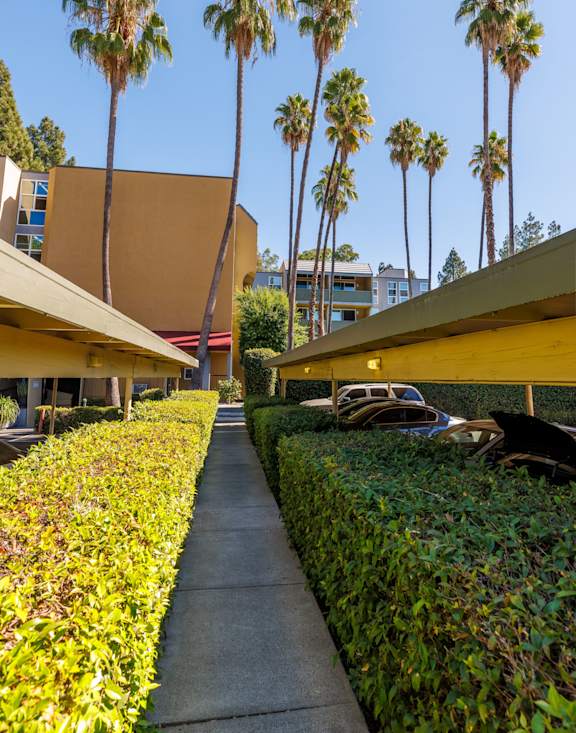 A row of palm trees in front of a building.