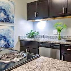 A kitchen with dark brown cabinets and a stainless steel dishwasher.