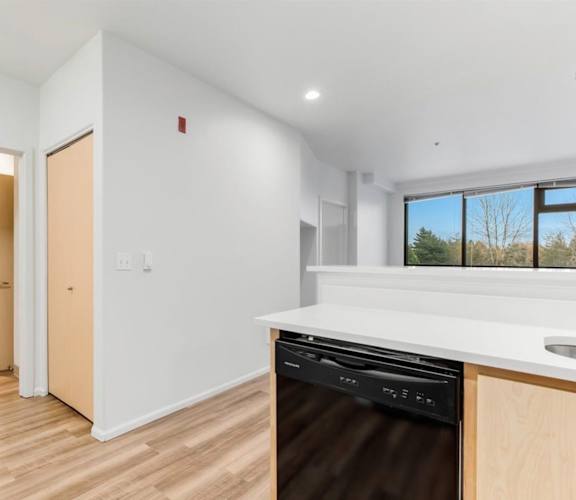 A modern kitchen with a dishwasher and a window.