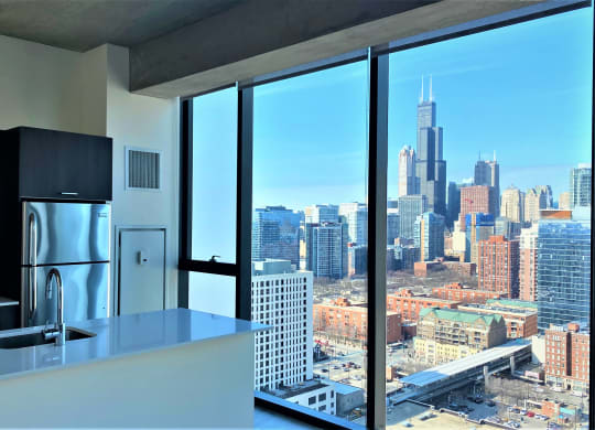 penthouse kitchens at One 333, Chicago, 60605