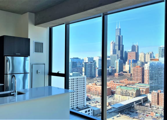 penthouse kitchens at One 333, Chicago, 60605