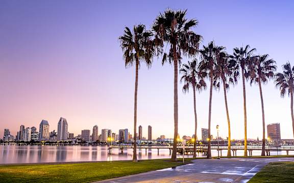 Palm trees line a walkway in front of a city skyline at dusk.