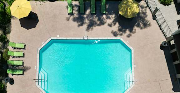 Pool at Eucalyptus Grove