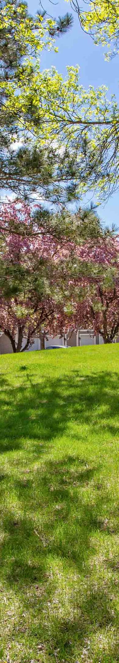 a house with a tree in front of it at Seasons Villas, Woodbury, MN
