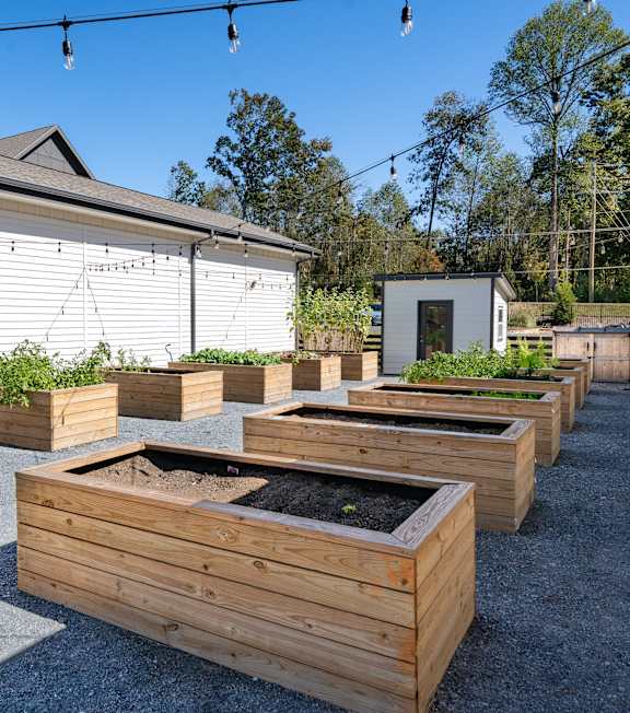 A row of wooden raised garden beds are lined up in a gravel area.