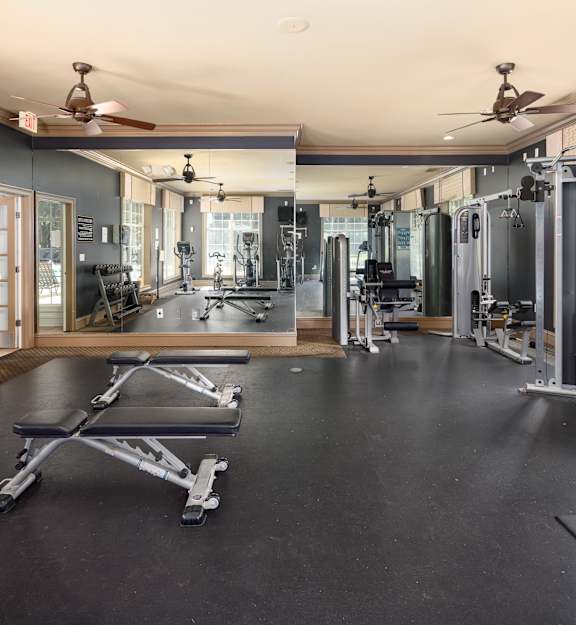a gym with a lot of weights and equipment and mirrors