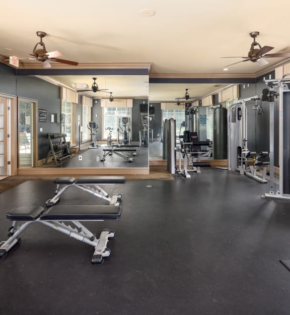 a gym with a lot of weights and equipment and mirrors