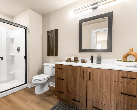 a bathroom with a shower toilet and sink and a mirror