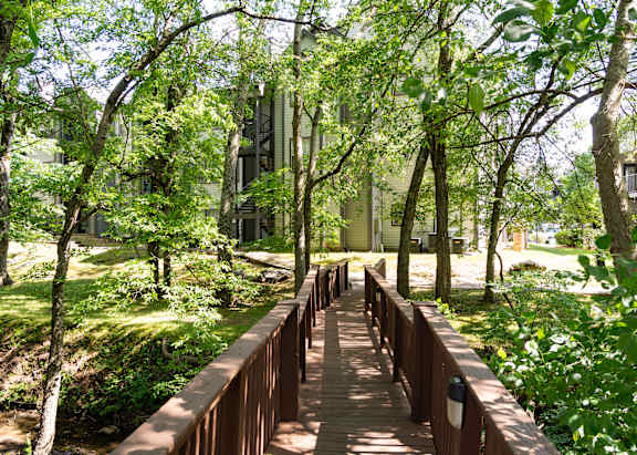 A wooden bridge in a lush green forest.