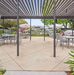 Apartments In Fremont, CA For Rent - Logan Park - Picnic Area With Multiple Tables, Chairs, And Umbrellas Surrounded By Lots Of Plants, Trees, And Flowers