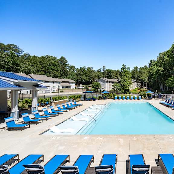 A large swimming pool surrounded by blue sun loungers.