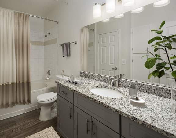 a bathroom with a sink and a toilet and a shower