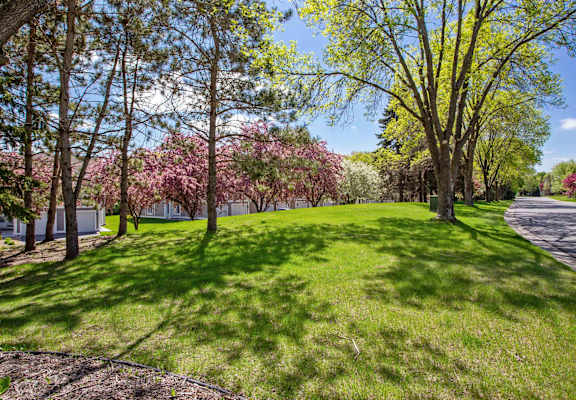 a park with trees and grass next to a road at Seasons Villas, Woodbury Minnesota