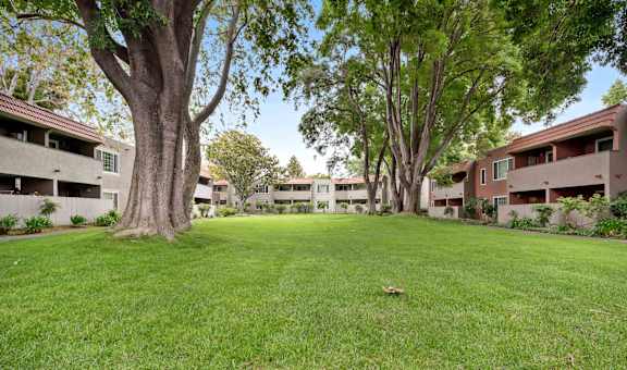 1-Bedroom Apartments in Hayward, CA - Glen Oaks - Large Manicured Lawn Area with Trees in the Middle of the Apartment Buildings.