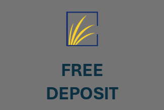 A graphic with a green triangle and the words "FREE DEPOSIT" in white text.