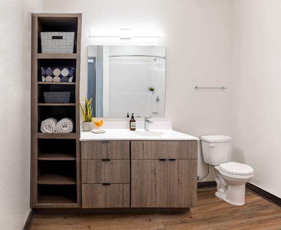 a bathroom with a sink and a toilet and a mirror