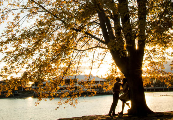 two people standing under a tree next to a lake