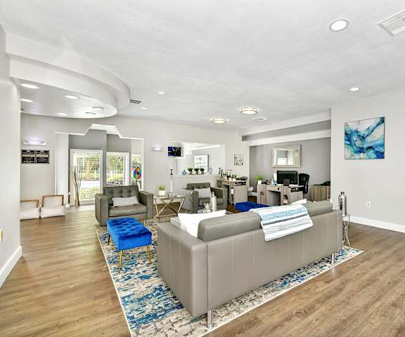 A living room with a grey couch and a blue rug.