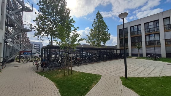 a lot of bikes parked outside of a building