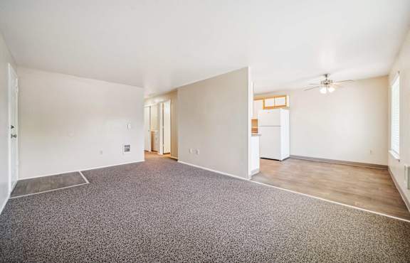 A spacious room with a grey carpet and white walls.