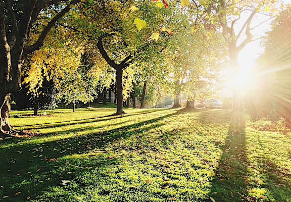 a sunny day in a park