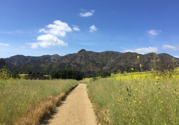 Grassy field with mountain view at NoVa Townhomes, Canoga Park