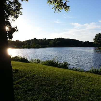 A tree is on the left of the image with sunlight shining through it.
