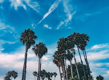 Blue Skies at Pine at 6th