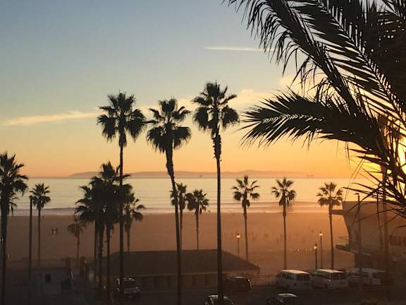 a view of the beach and palm trees at sunset