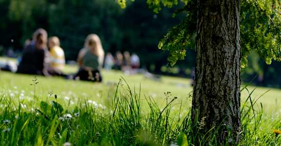 people sitting in the grass in a park at Brookhollow Apartments, West Covina , California