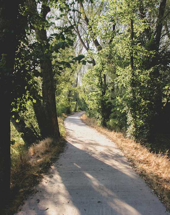 A path through a wooded area with sunlight filtering through the trees.