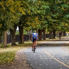 a man riding a bike down a path in a park