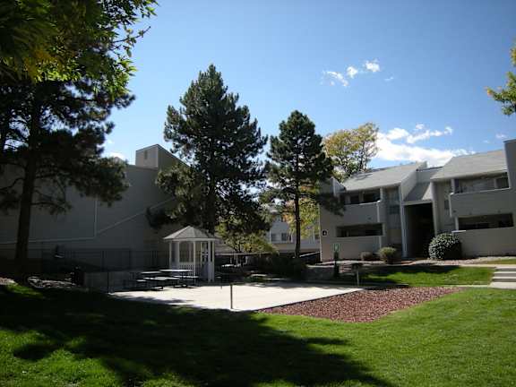 A white gazebo is surrounded by trees and a building.