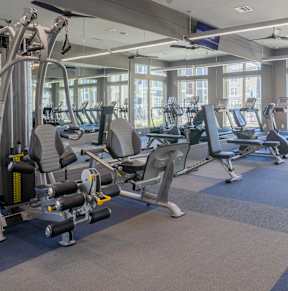 a gym with cardio equipment and weights