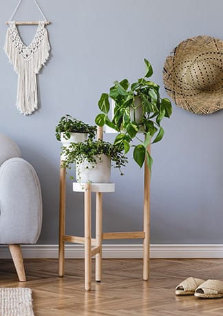 Plant stand near couch at Alhambra Cove, Miami