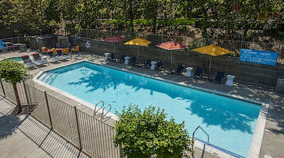 A pool surrounded by trees and umbrellas.