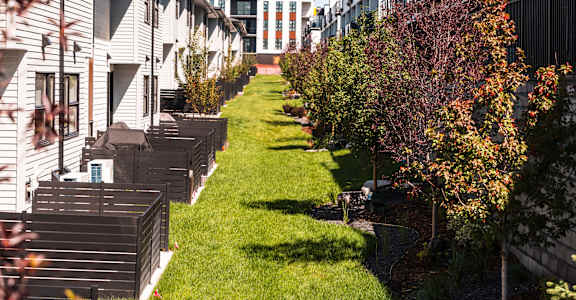 A row of houses with a green lawn in between.