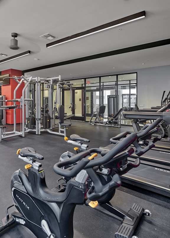 A gym with a variety of equipment including treadmills and weights.