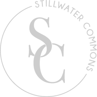 a clear black sky
