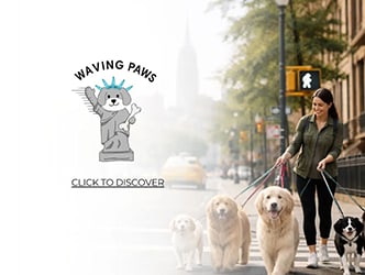A woman walking three dogs on a leash and a statue of a dog with the text "Waving Paws" above it.