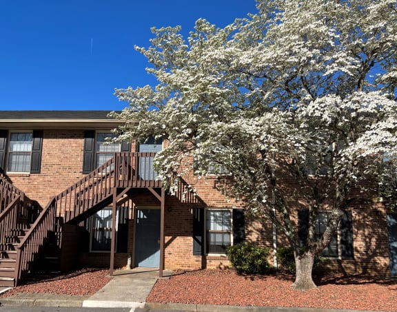 a building with stairs and a tree in front of it