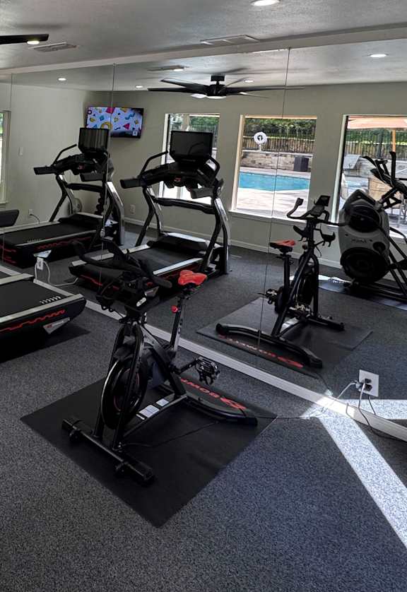 A room with a row of stationary bikes.