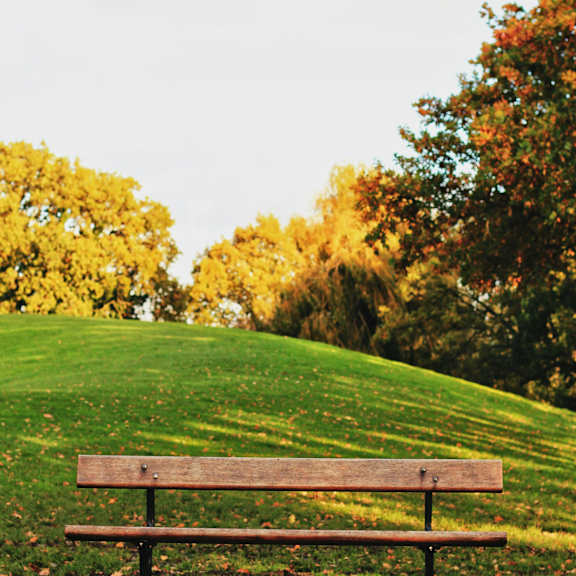 A wooden bench sits in front of a grassy hill.at 901 Rendon, Texas