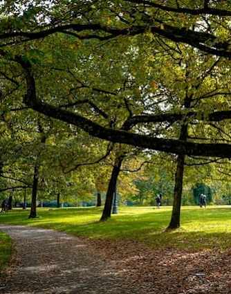 Park with trees at Vancouver Mall Apartments, Vancouver Washington