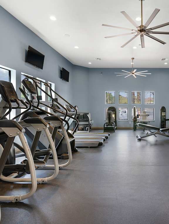A gym with a variety of equipment including treadmills, stationary bikes, and weight machines.