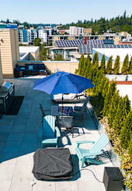 A patio with blue chairs and an umbrella is surrounded by a hedge.